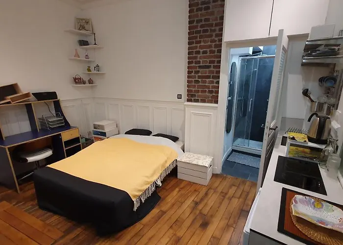 Studio 16M2 Dans Immeuble Hausmannien