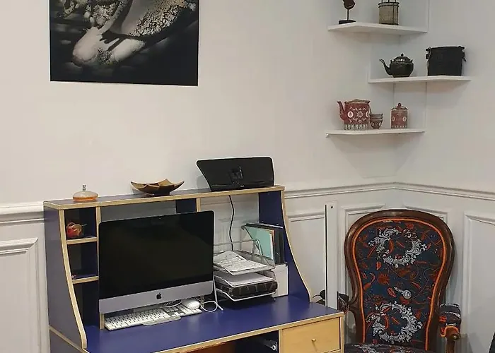 Studio 16M2 Dans Immeuble Hausmannien